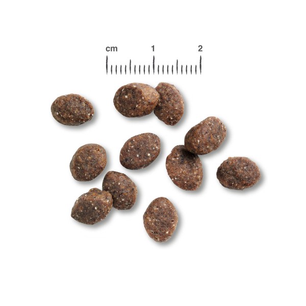 Belcando Puppy GF Poultry 12,5 kg