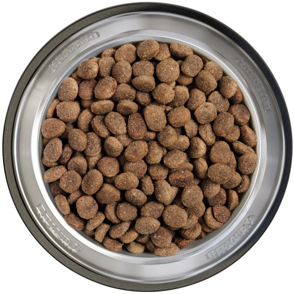 Belcando Finest GF Senior 2 x 12,5 kg